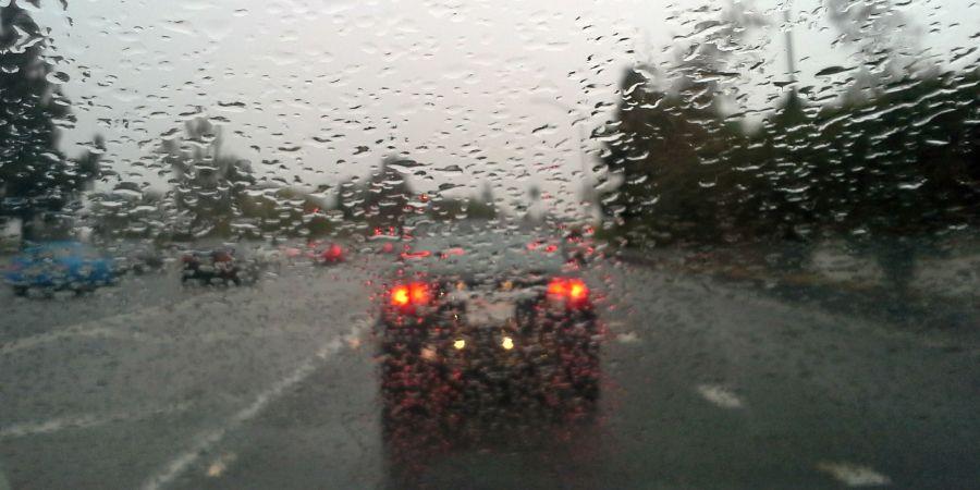 5449777729407446 image