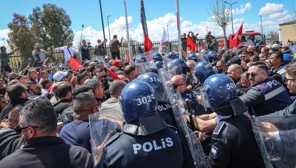 5449809756699389 image