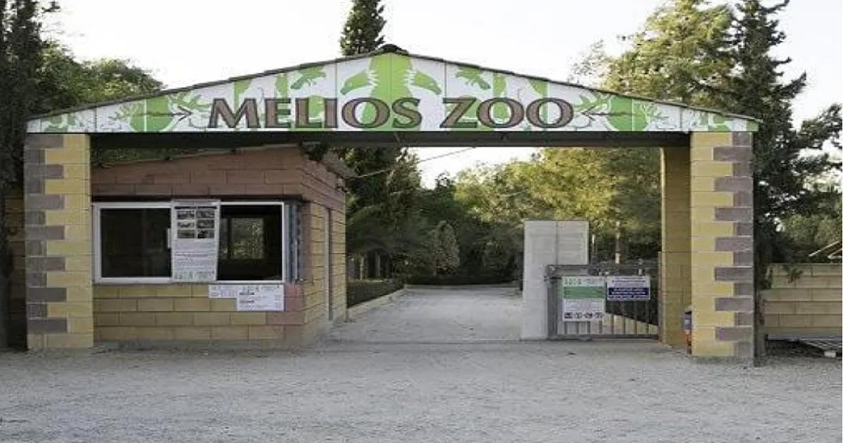 5449973652732168 image