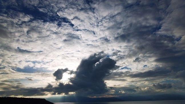 5450368259274895 image