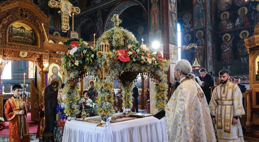 5450391002808256 cats