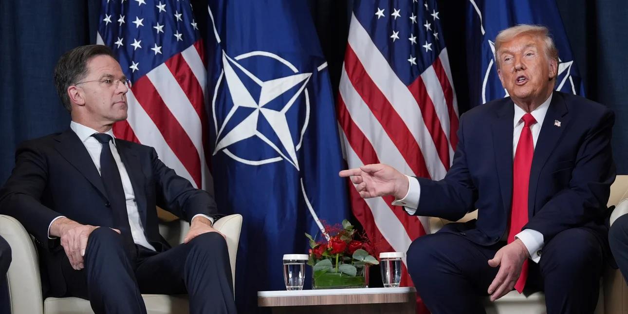 5450419959550869 image