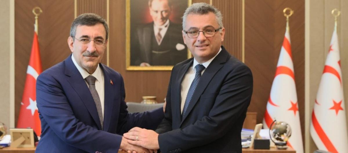 5450715345758310 cats