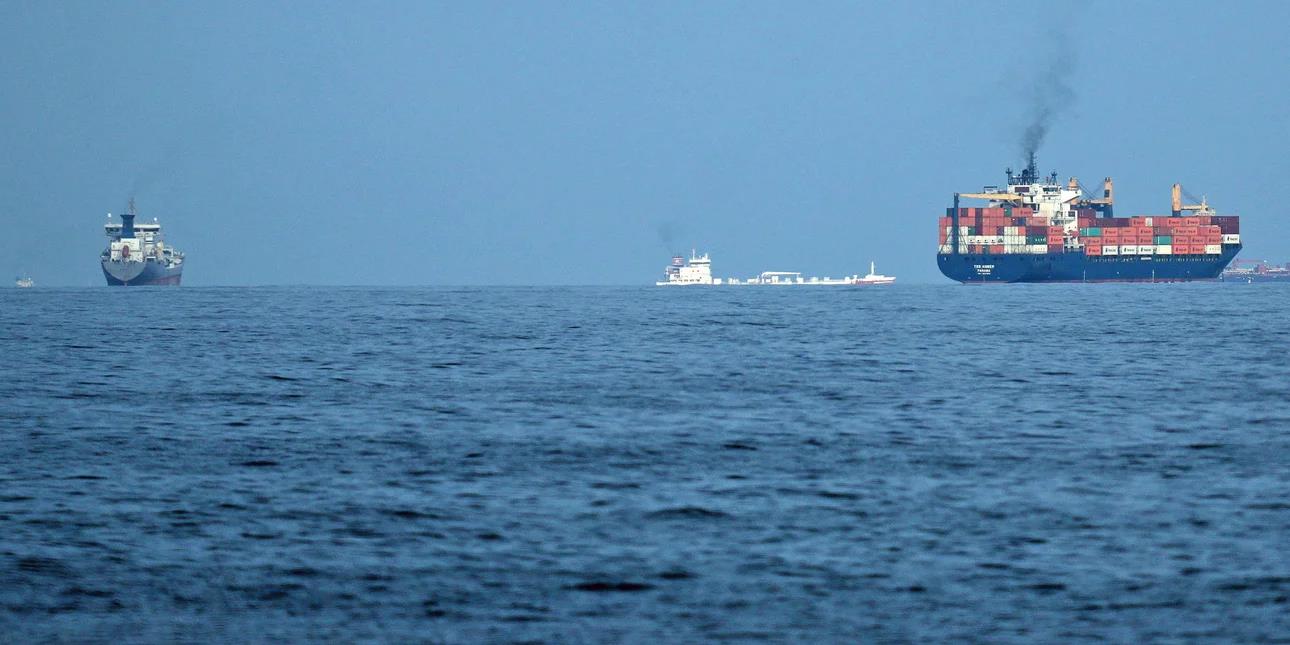 5450787772560673 image