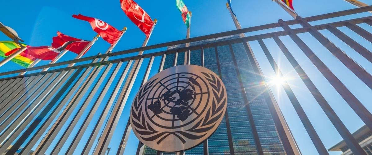 5451233179558342 cats