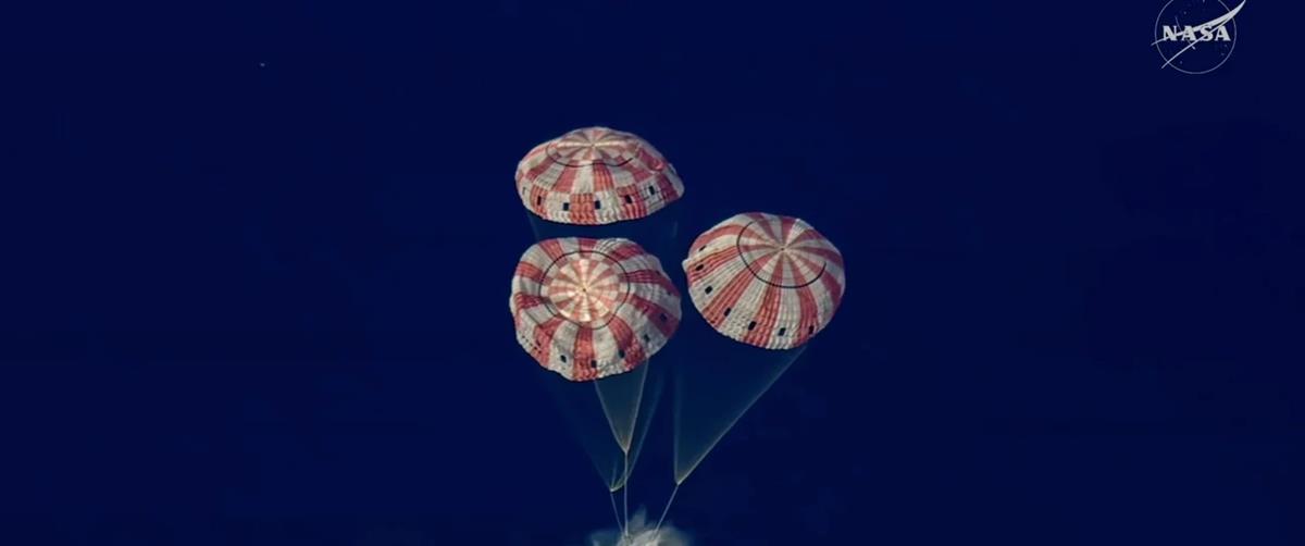 5451245286886166 cats