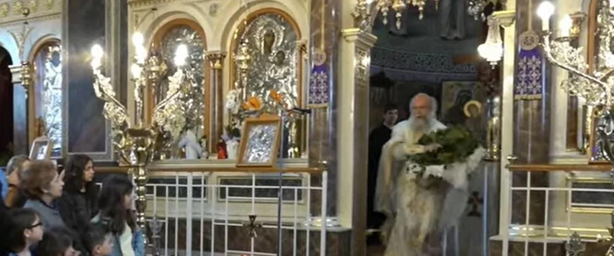 5451329983676819 cats