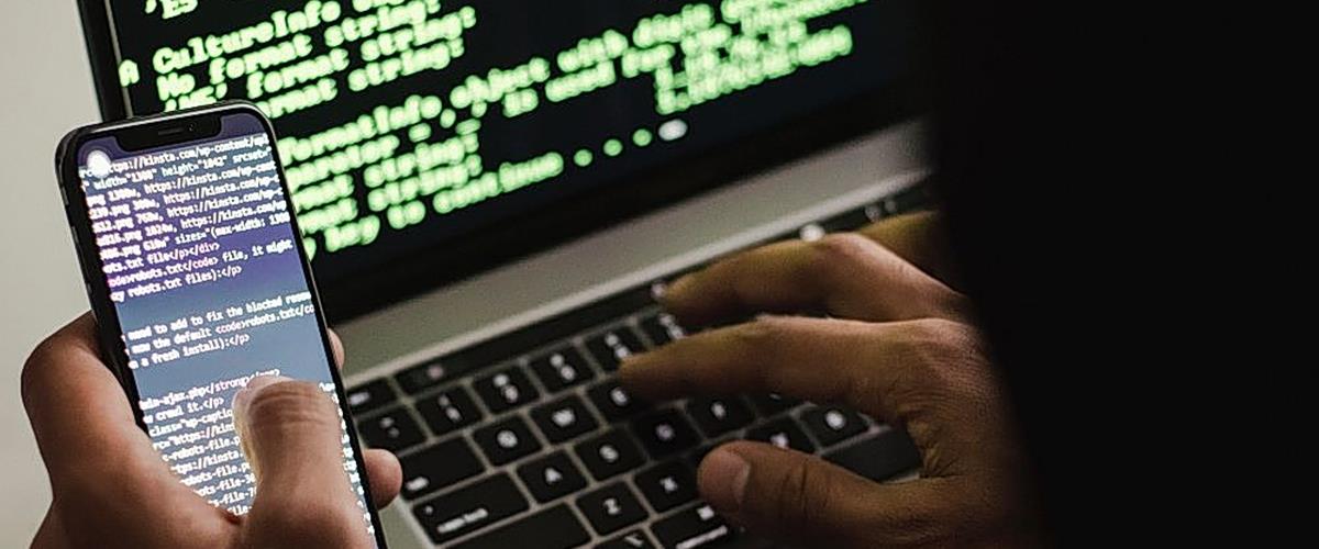 5451474824977469 cats