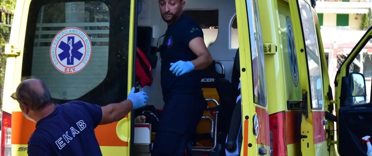 5451536322360869 cats