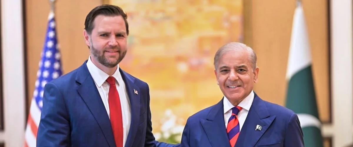 5451563362062896 cats