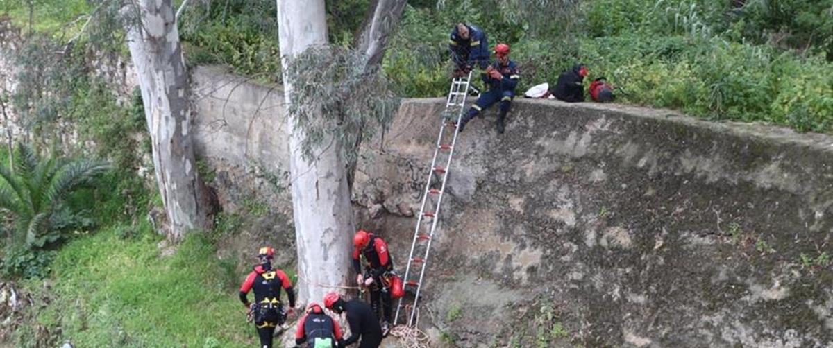 5451577980097361 cats