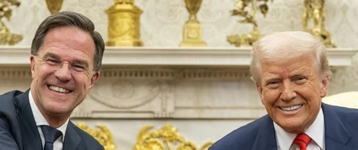 5451588017967880 cats