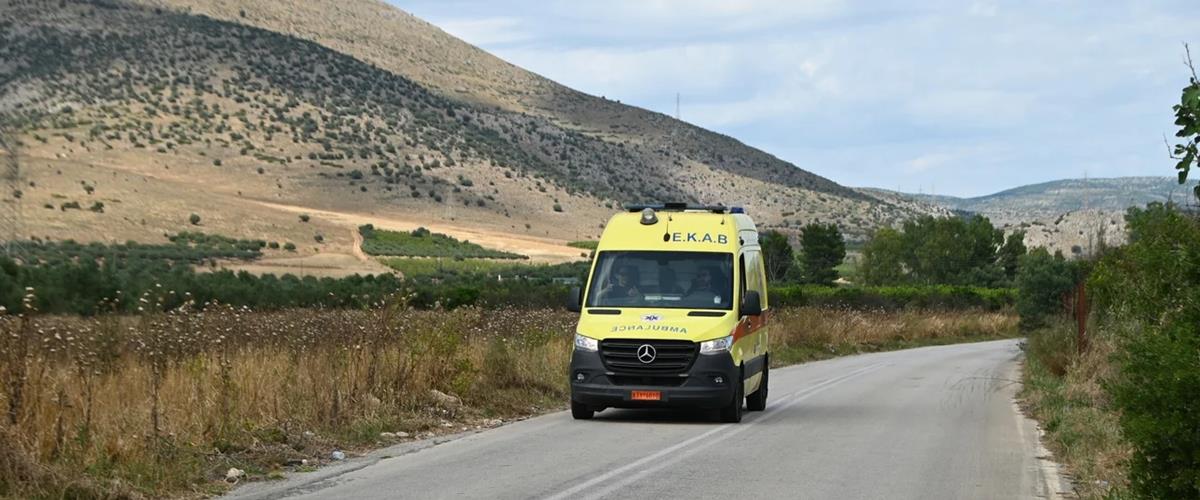 5451683141841856 cats