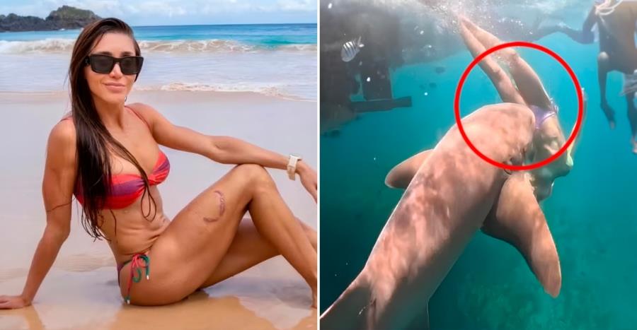 5452319024478285 vrazilia-mak