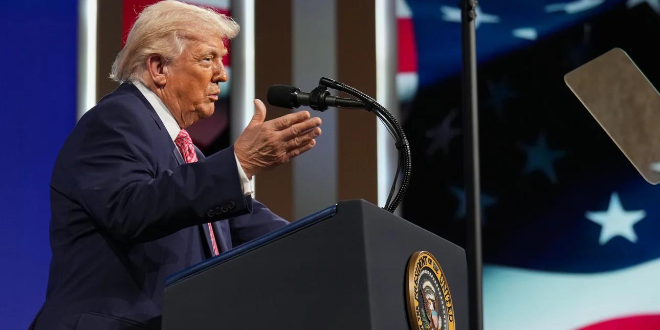 5452999068436085 image