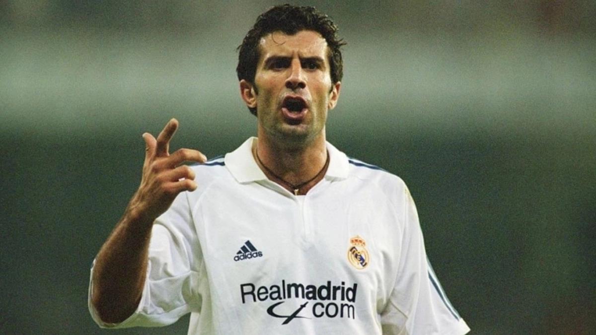 5453258053149913 image