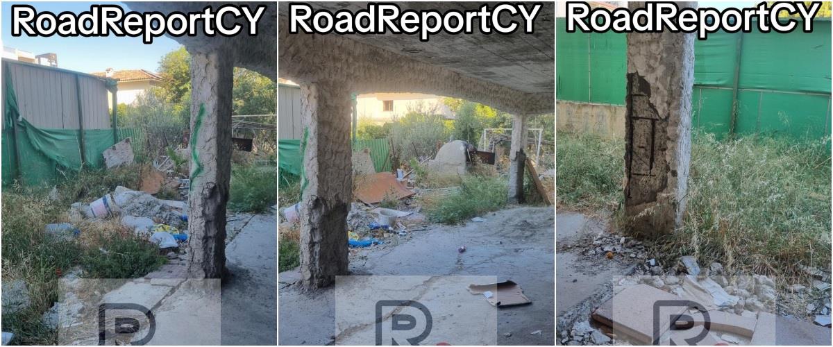 5453441413424840 collage447773