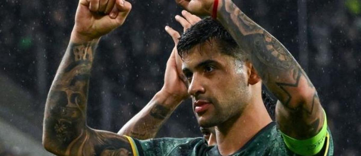 5453867836791347 cats