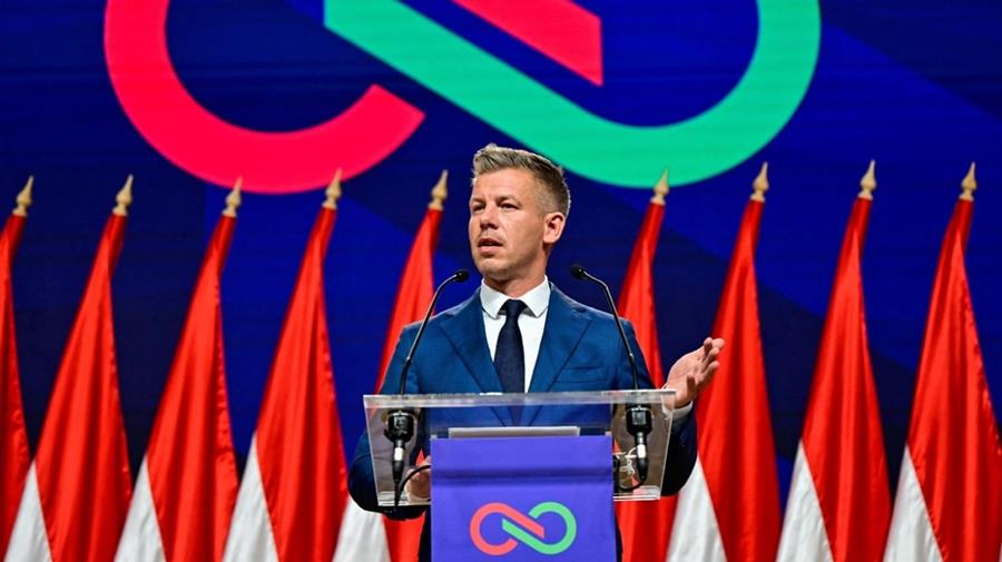 5453910651969048 cats