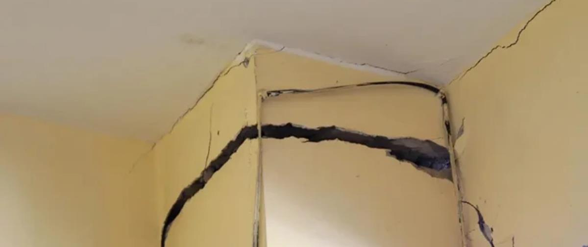 5454004059102171 cats