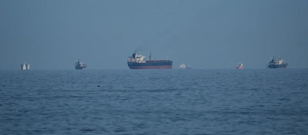 5454106407640061 image