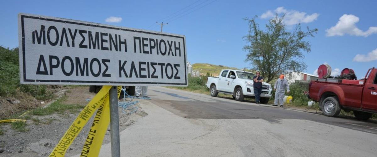 5454151478769138 PIO-1