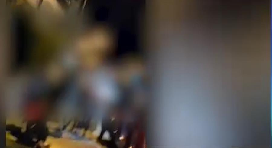 5454752117394348 cats