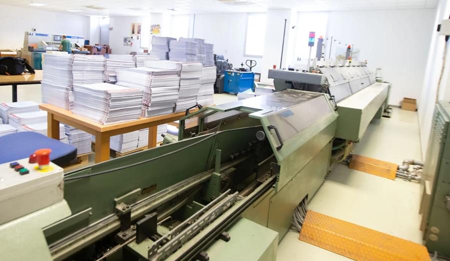 5454792963626139 cats