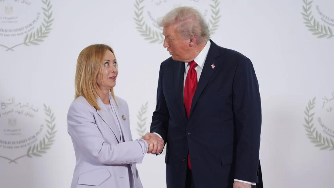 5454857557803790 image