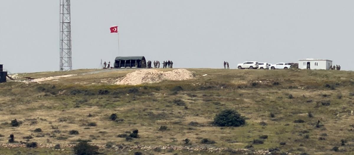 5454884042631318 cats