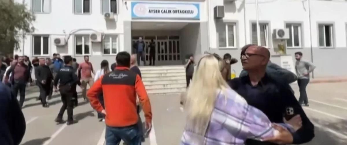 5454955702090736 cats