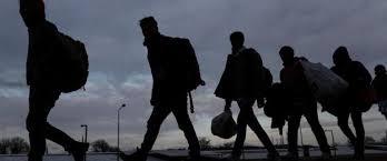 5454968150184066 image