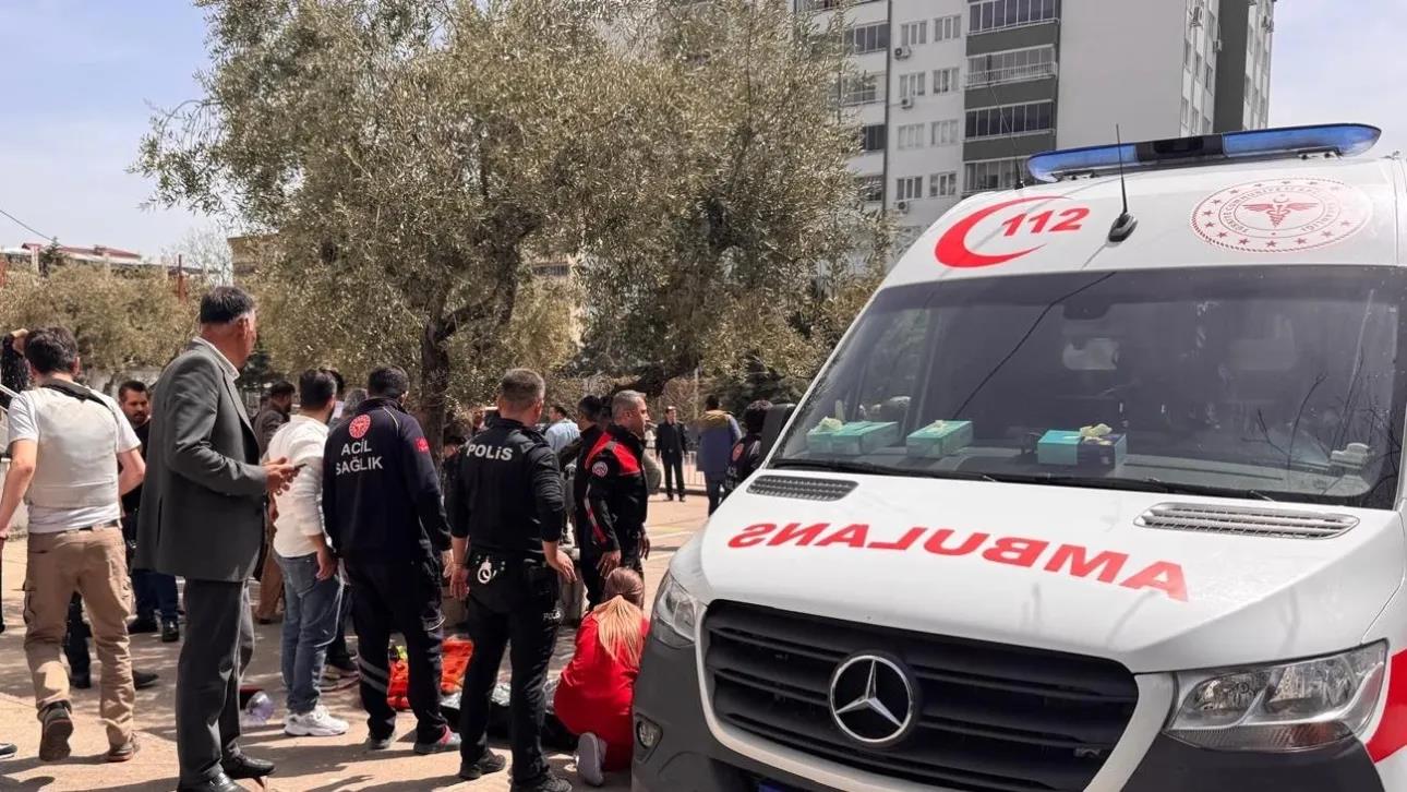 5455061332743173 image