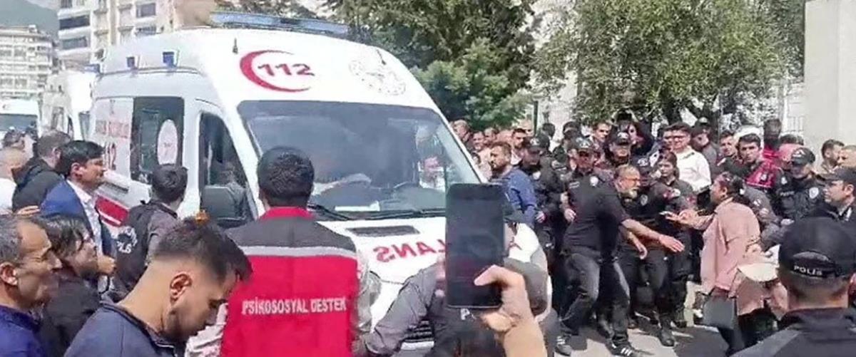 5455084074882089 cats