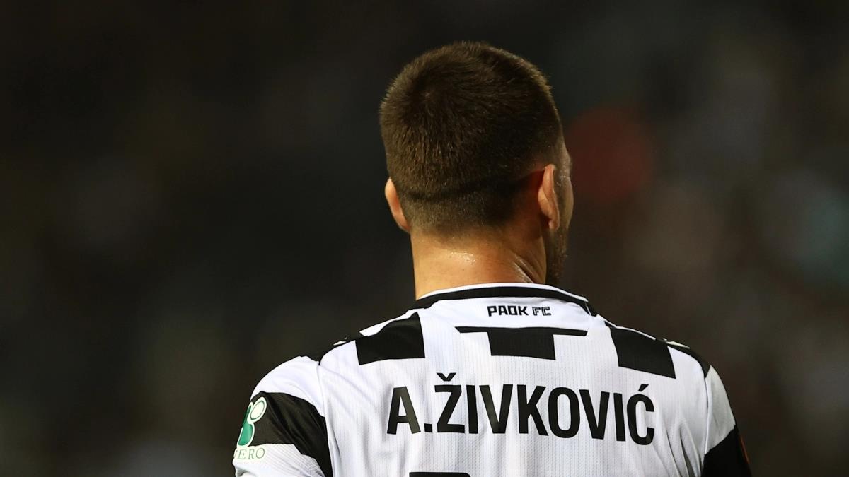 5455157227634689 image