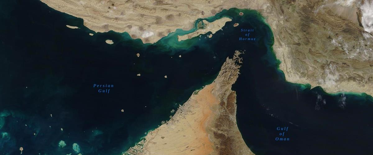 5455210667870582 cats