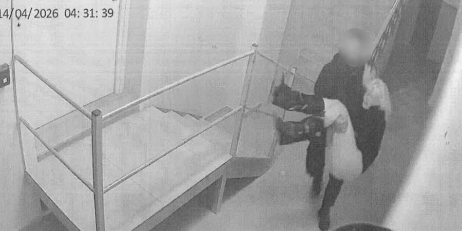 5455578203019822 image