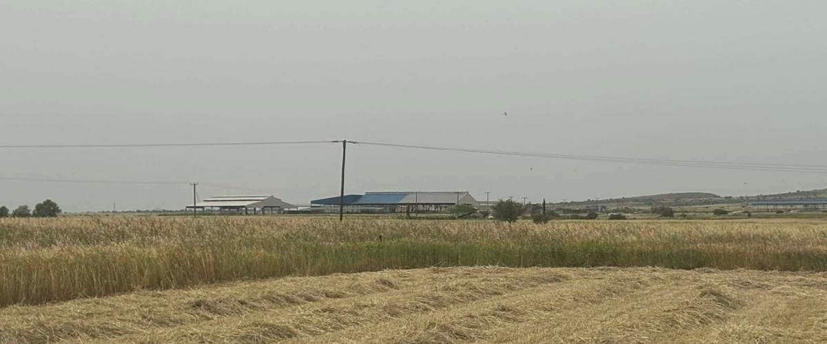 5455658577274315 667661396 2408180832992186 4195572856231093606 n