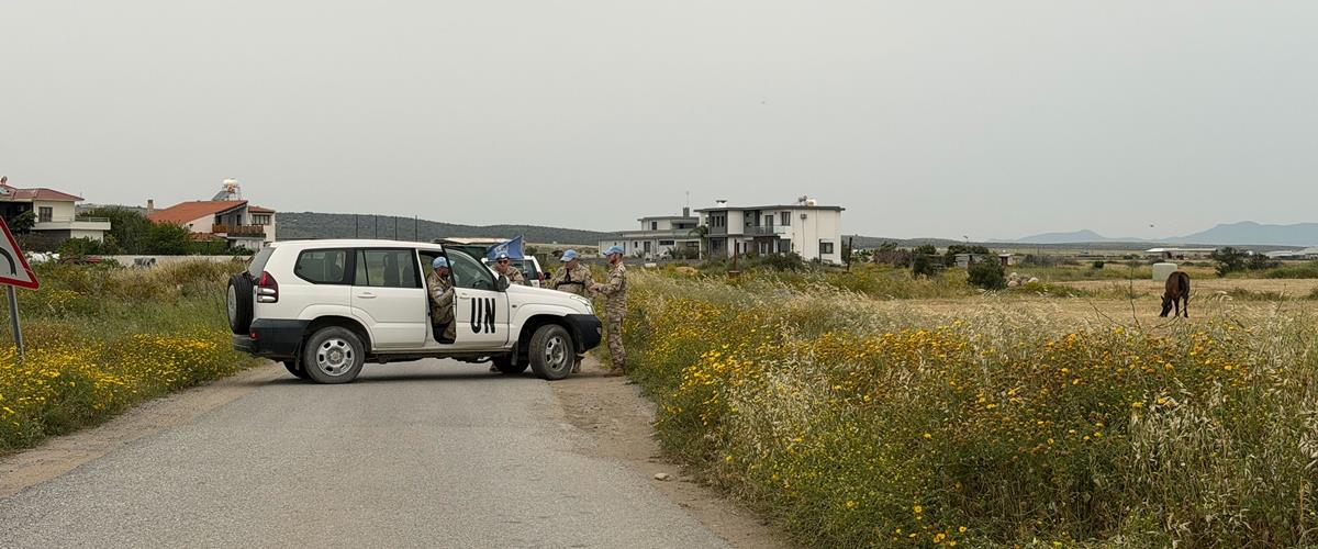 5455716915228007 cats