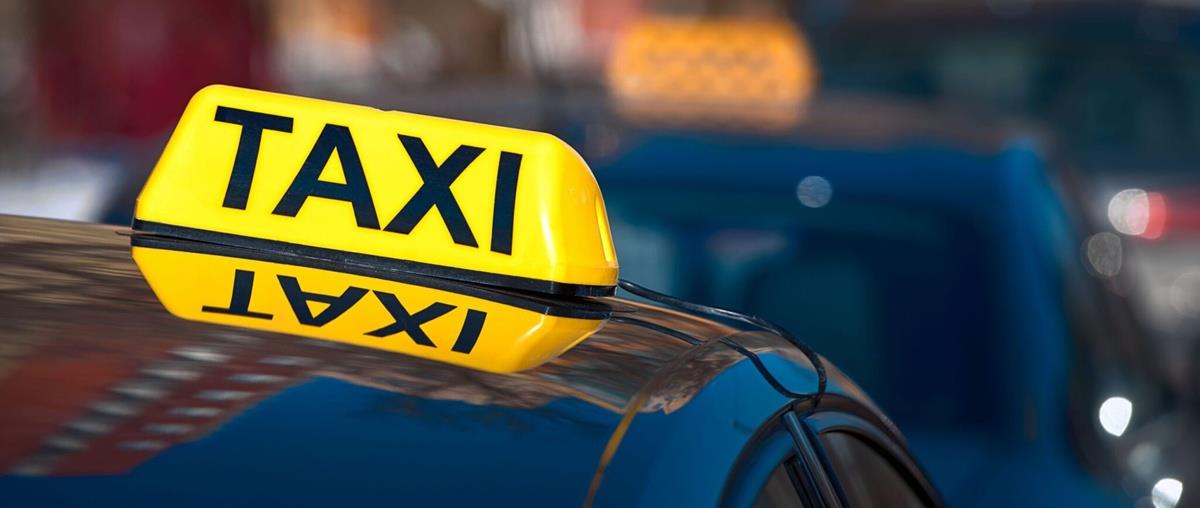 5455898421314651 cats