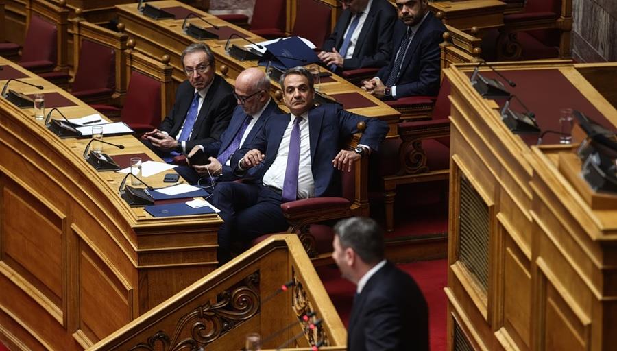 5455959690356030 cats