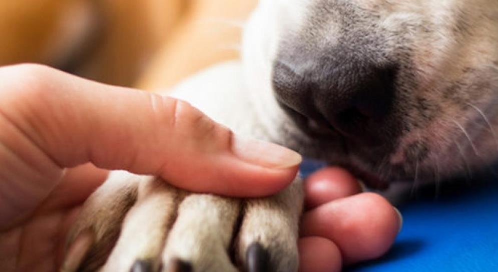 5455962129534305 image