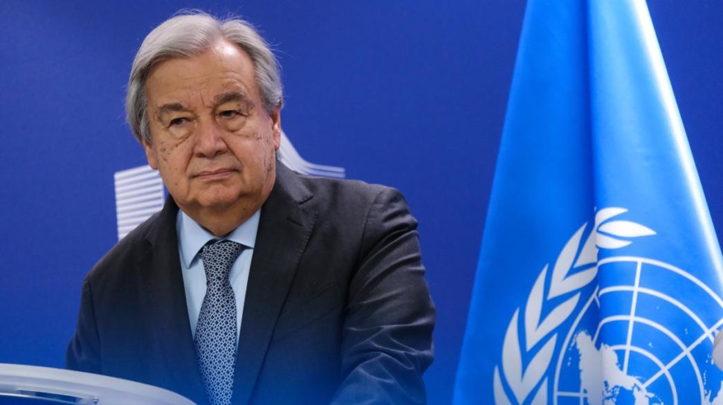 5456026381183402 image