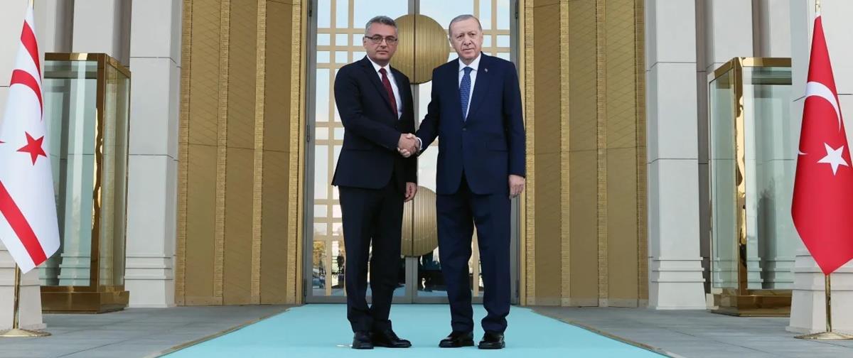 5456033111425839 cats