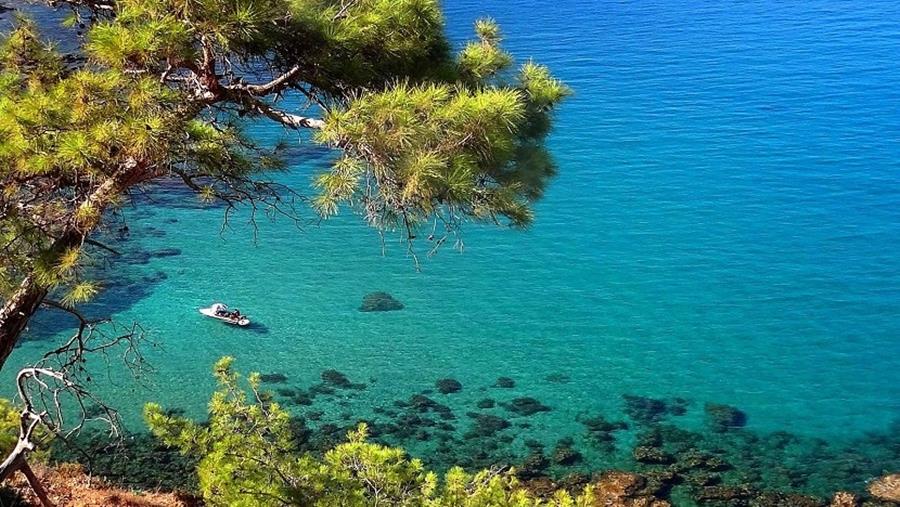 5456434687796168 cats