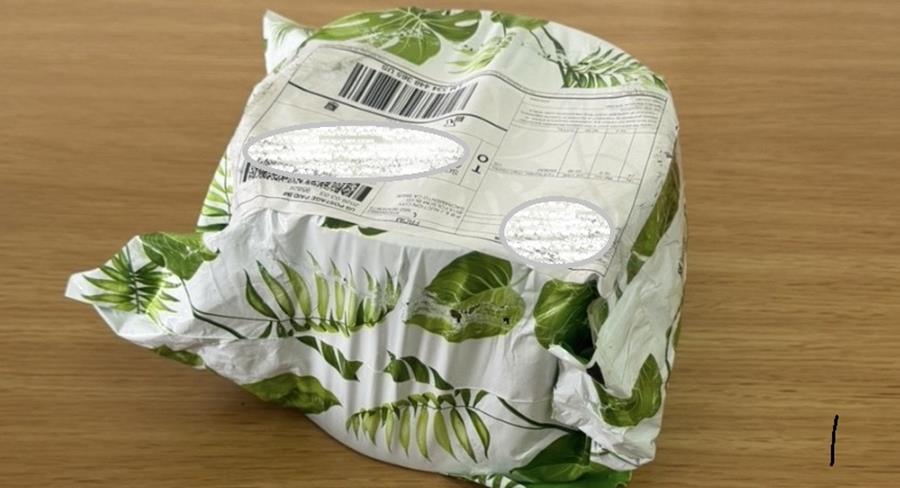 5456486852263495 cats