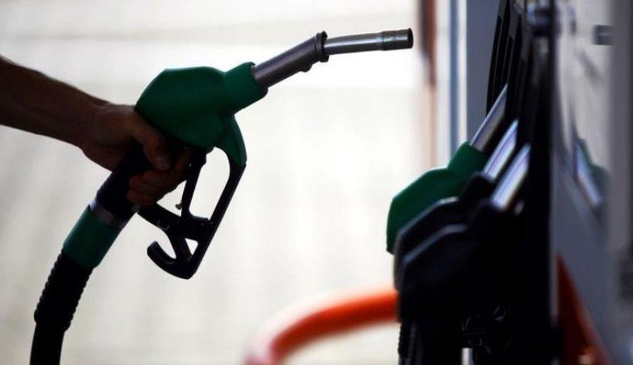 5456564469379514 cats