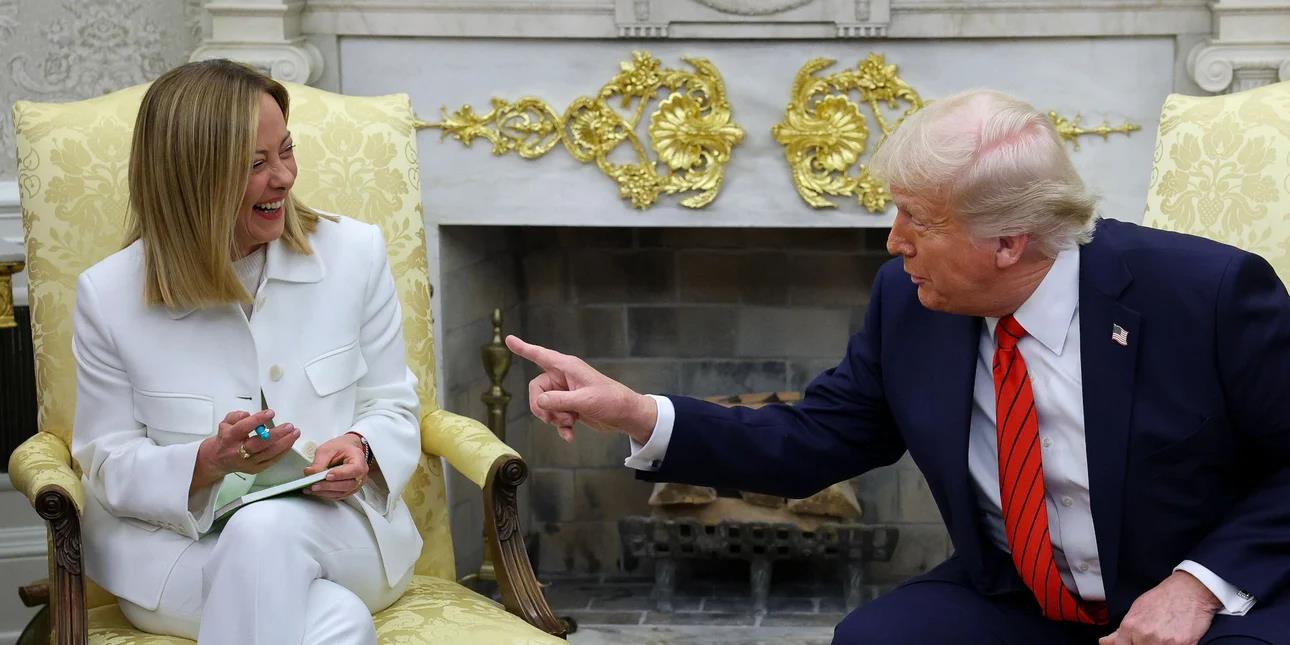 5456576518626823 image