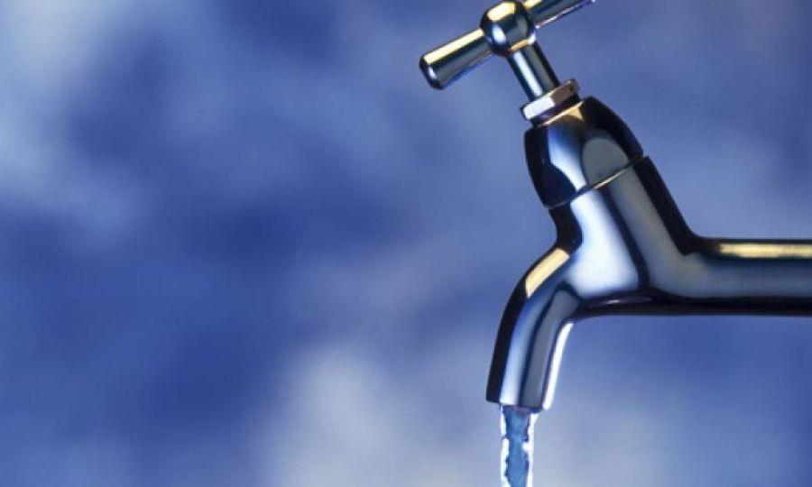 5456588394849504 image