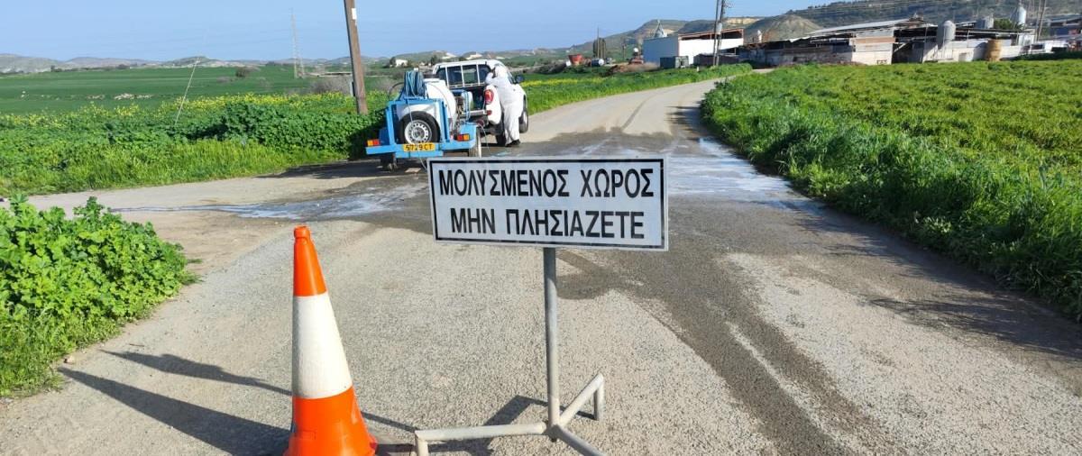 Άρχισαν οι θανατώσεις χοίρων στο Παλιομέτοχο-Διαχειρίσιμη η κατάσταση στα αποθέματα γάλακτος και κρέατος, μείωση 20% στη ζήτηση αμνοεριφίων